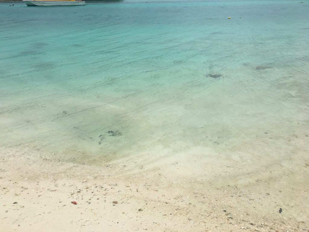 エメラルドグリーンの綺麗な石垣島の海