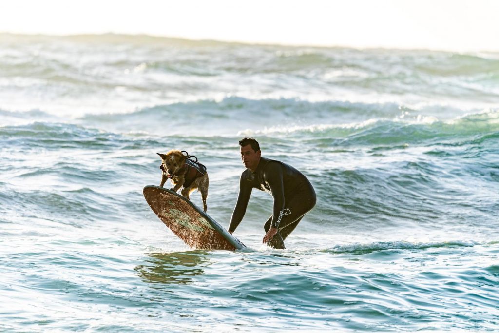 Surfing-with-the-dog2